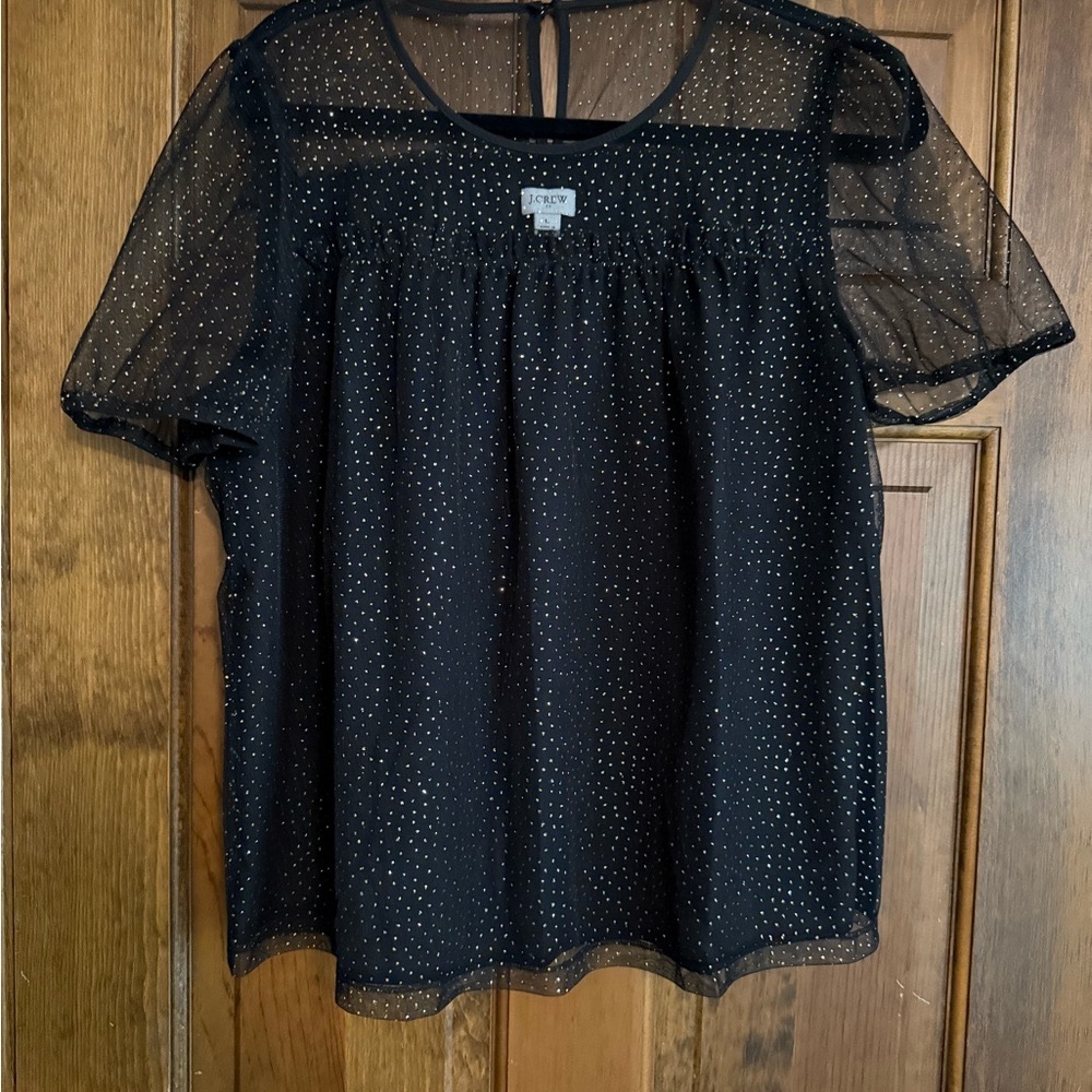 J. Crew Women’s Sparkle Puff Sleeve Tulle Blouse Size Large NWT
